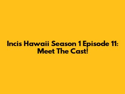 Incis Hawaii Season 1 Episode 11: Meet The Cast!