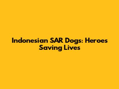 Indonesian SAR Dogs: Heroes Saving Lives