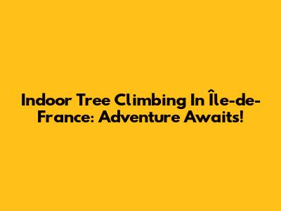 Indoor Tree Climbing In Île-de-France: Adventure Awaits!