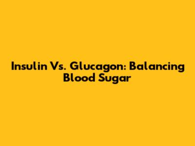 Insulin Vs. Glucagon: Balancing Blood Sugar
