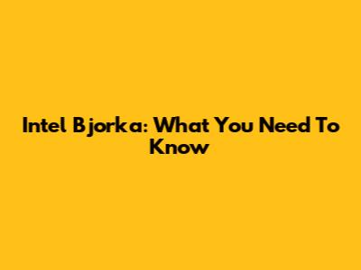 Intel Bjorka: What You Need To Know