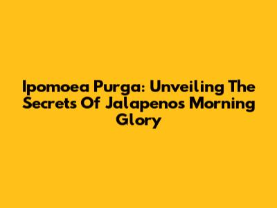 Ipomoea Purga: Unveiling The Secrets Of Jalapeno's Morning Glory