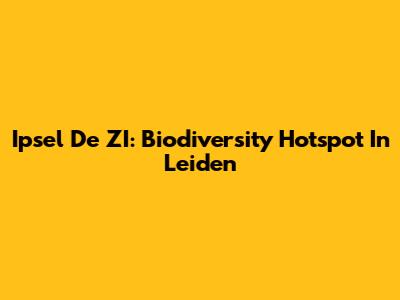 Ipsel De ZI: Biodiversity Hotspot In Leiden