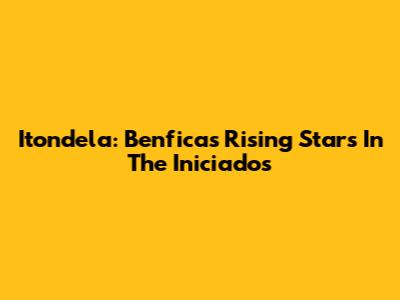Itondela: Benfica's Rising Stars In The Iniciados