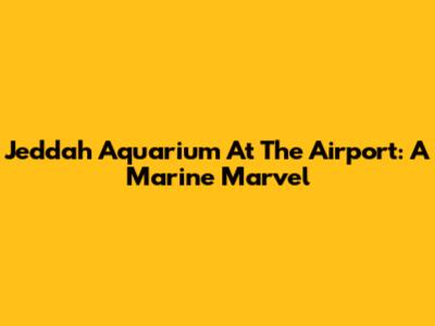 Jeddah Aquarium At The Airport: A Marine Marvel