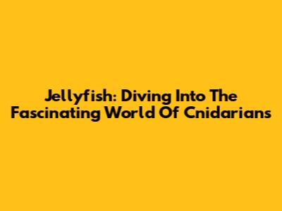 Jellyfish: Diving Into The Fascinating World Of Cnidarians