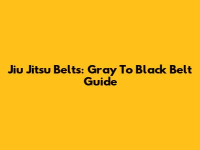 Jiu Jitsu Belts: Gray To Black Belt Guide