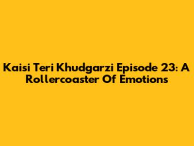Kaisi Teri Khudgarzi Episode 23: A Rollercoaster Of Emotions