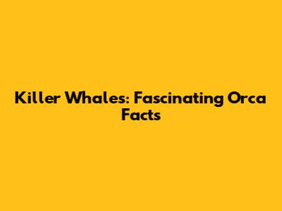 Killer Whales: Fascinating Orca Facts