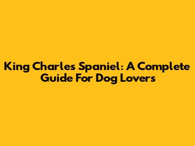 King Charles Spaniel: A Complete Guide For Dog Lovers