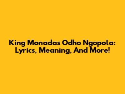 King Monada's 'Odho Ngopola': Lyrics, Meaning, And More!