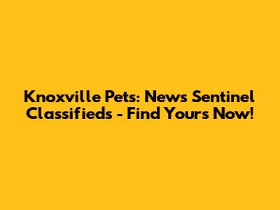 Knoxville Pets: News Sentinel Classifieds - Find Yours Now!