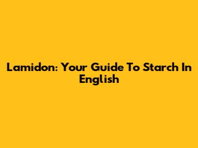 L'amidon: Your Guide To Starch In English