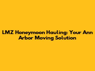 LMZ Honeymoon Hauling: Your Ann Arbor Moving Solution