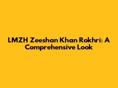 LMZH Zeeshan Khan Rokhri: A Comprehensive Look