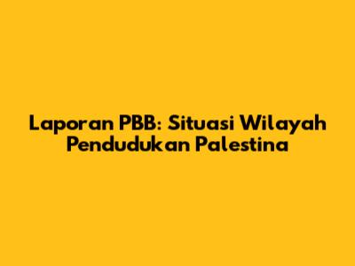 Laporan PBB: Situasi Wilayah Pendudukan Palestina