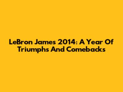 LeBron James 2014: A Year Of Triumphs And Comebacks