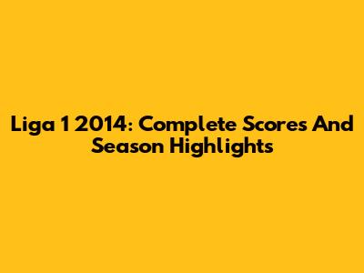 Liga 1 2014: Complete Scores And Season Highlights