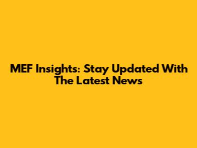 MEF Insights: Stay Updated With The Latest News