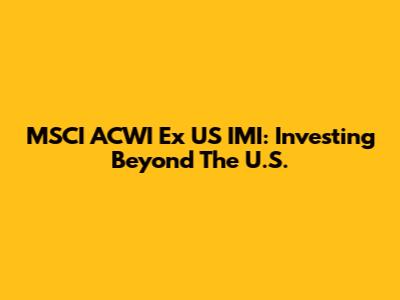 MSCI ACWI Ex US IMI: Investing Beyond The U.S.