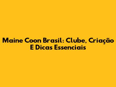 Maine Coon Brasil: Clube, Criação E Dicas Essenciais