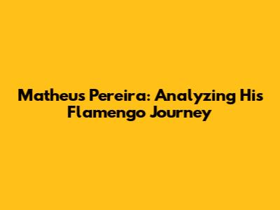 Matheus Pereira: Analyzing His Flamengo Journey
