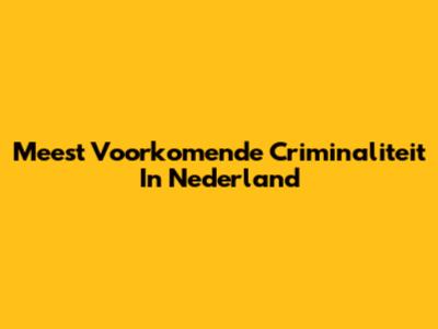 Meest Voorkomende Criminaliteit In Nederland