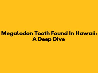 Megalodon Tooth Found In Hawaii: A Deep Dive
