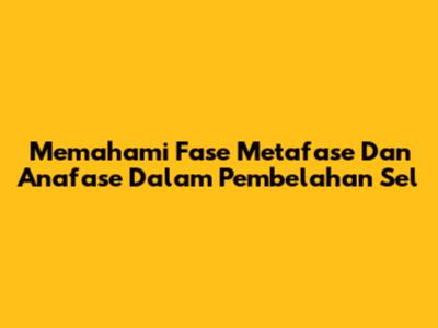 Memahami Fase Metafase Dan Anafase Dalam Pembelahan Sel