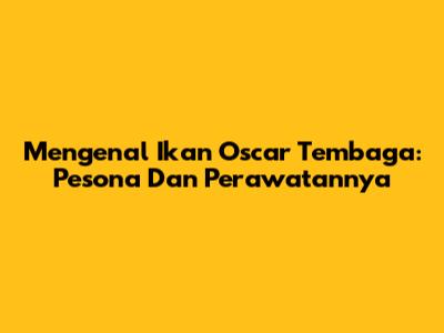Mengenal Ikan Oscar Tembaga: Pesona Dan Perawatannya