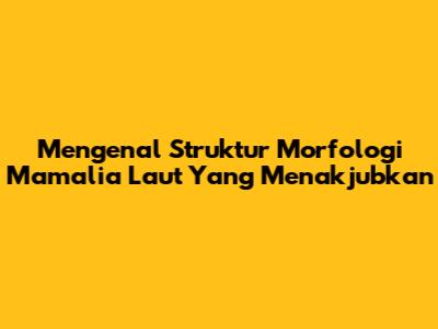 Mengenal Struktur Morfologi Mamalia Laut Yang Menakjubkan