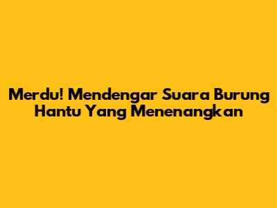 Merdu! Mendengar Suara Burung Hantu Yang Menenangkan