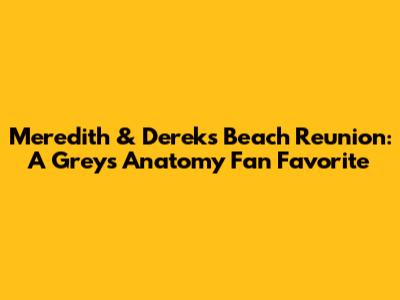 Meredith & Derek's Beach Reunion: A Greys Anatomy Fan Favorite