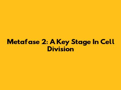 Metafase 2: A Key Stage In Cell Division