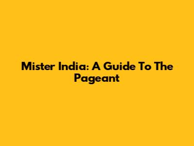 Mister India: A Guide To The Pageant