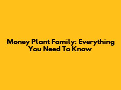 Money Plant Family: Everything You Need To Know