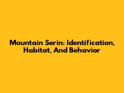 Mountain Serin: Identification, Habitat, And Behavior