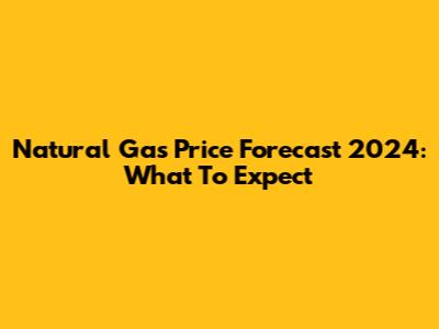 Natural Gas Price Forecast 2024: What To Expect
