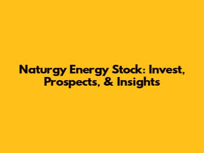 Naturgy Energy Stock: Invest, Prospects, & Insights