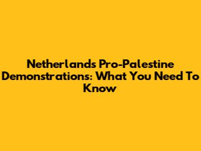 Netherlands Pro-Palestine Demonstrations: What You Need To Know