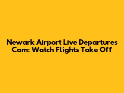 Newark Airport Live Departures Cam: Watch Flights Take Off
