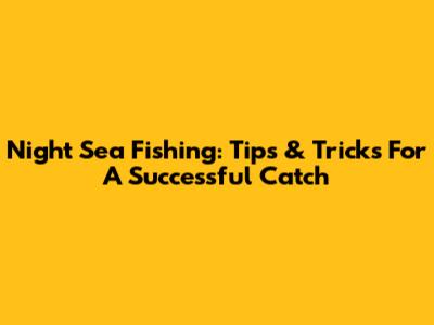 Night Sea Fishing: Tips & Tricks For A Successful Catch
