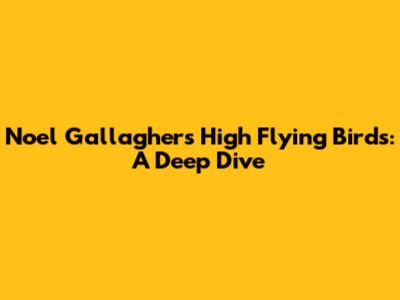 Noel Gallagher's High Flying Birds: A Deep Dive