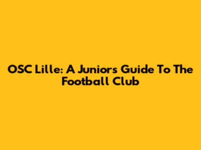 OSC Lille: A Junior's Guide To The Football Club