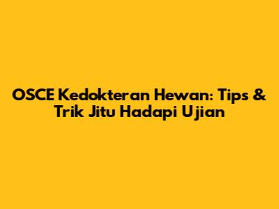 OSCE Kedokteran Hewan: Tips & Trik Jitu Hadapi Ujian