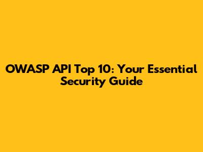 OWASP API Top 10: Your Essential Security Guide