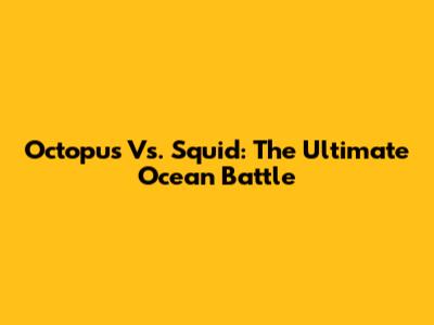 Octopus Vs. Squid: The Ultimate Ocean Battle