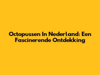Octopussen In Nederland: Een Fascinerende Ontdekking