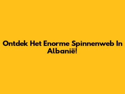 Ontdek Het Enorme Spinnenweb In Albanië!