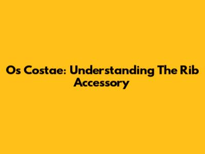 Os Costae: Understanding The Rib Accessory